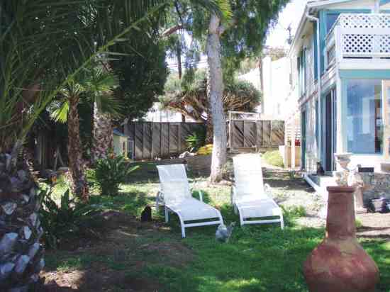 With native plants and graywater reuse, Sandy and Ernie can transform their backyard into a low-maintenance oasis.